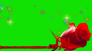 Green Screen Video Effects Free Download Flowers Green Screen Love Effec Butterfly Wallpaper Backgrounds Green Background Video Green Screen Video Backgrounds