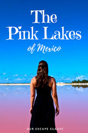 How To Visit The Pink Lakes Of Las Coloradas Mexico 2020 Lakes In Mexico Mexico Mexico Travel