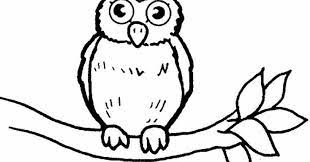 84 gambar sketsa untuk kolase terbaru gambarcoid via gambar.co.id. Paling Populer 20 Gambar Burung Hantu Untuk Kolase Semoga Kumpulan Gambar Sketsa Dapa Menghibur Anda Semua Untuk Tempurung Burung Hantu Sketsa Gambar Burung