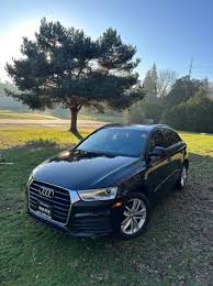 Image result for Brilliant Black 2018 Q3