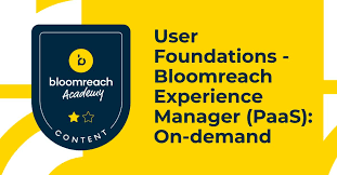 Screenshot of Bloomreach