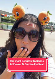 Epcot Mickey Topiary 2025