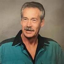 Robert Nelson "Bob" Raines Obituary