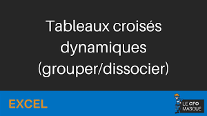 Excel Maitriser Les Tableaux Croises Dynamiques 1 De 5