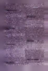 Image result for Cyathea mossambicensis