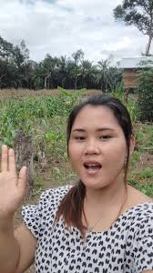 Dide tau gulai agi kah ndek bibit nila tini gaes #reelsfyp #fbpro #diladang  #padangguci #kaur #bengkulu