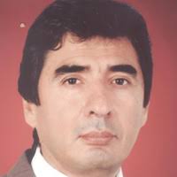 MINERvA neutrino detector response measured with test beam data