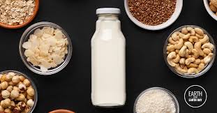The nondairy milk aisle is starting to fill up with more creamer alternatives, but before you get too confused, we've rounded up our seven favorite healthy nondairy milk brands that not only taste like they're homemade but have a small ingredient list to boot. Which Non Dairy Milk Has The Lowest Environmental Impact