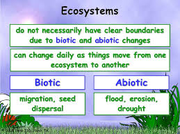 Ecosystems Biotic And Abiotic Factors In 2020 Abiotic Ecosystems Biotic