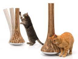 Pin On The Pets Need Things Too