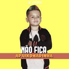Diskografi, trek teratas dan senarai main. Nao Fica Apaixonadinha Single By Mc Lorenzo Spotify