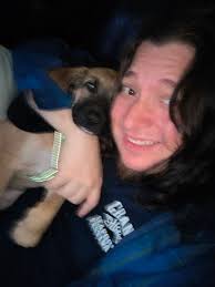 Introducing a Great Dane/Shepherd mix