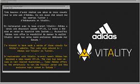 Corentin gotaga houssein is a player for team vitality. Vitality Adidas On Behance