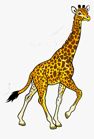 Baby giraffe clipart black and white. Fauna Of Africa Baby Giraffe Black And White Hd Png Download Kindpng