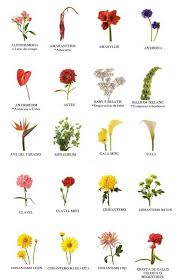 Pin By Gaja On Les Fleurs In 2020 Types Of Flowers Flower Names Flowers