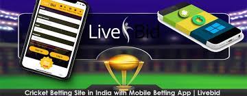India has multiple divisions due to various regional languages and religions but 1.3 billion people unite whenever the indian cricket team plays. Pin On Sports Betting