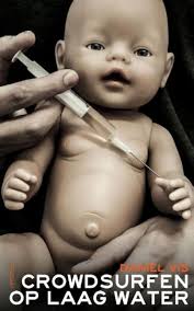 Crowdsurfen op laag water : Vis, Daniel: Amazon.nl: Boeken