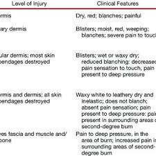 Classification Of Burn Depth Download Table