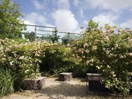 Le Jardin Du Musee Du Quai Branly 75 Garden Paris Images Plants