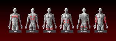 Superficial lateral abdomen, fibers run down & in, hands in pockets; Burning Calories With Electrical Muscle Stimulation Ems Wiemspro Asia