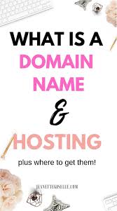 Everything You Need To Know About Your Domain Name And Hosting Blogging Basics Blogging For Beginners Creating A Blog