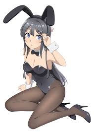 Regular Bunny girl mai : rSeishunButaYarou