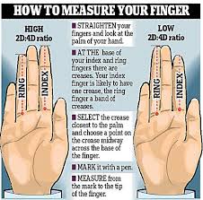The finger next to the thumb. Finger Length Tells You Everything Siowfa15 Science In Our World Certainty And Controversy