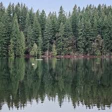 Pest Control Vancouver Camas Exterminators