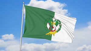Algeria flags by valley forge and online stores, 3ft x 5ft from $6, 4x6 inch $1.20. This Flag Presents All The Algerian People Hamsa Or Tafust An Ancient Berberopunic Symbol Of Ancient Algeria The National Symbols Algerian Flag Two By Two