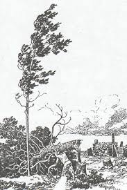 волк ночью думая залезть в овчарню попал на псарню Volk Na Psarne Krylov I A Basnopisec