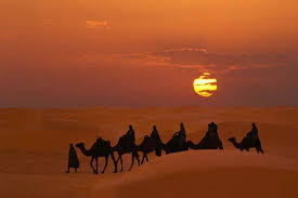 Check spelling or type a new query. 44 Kebiasaan Nabi Muhammad Saw Bagian 1