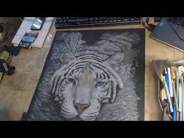Pin By Andy Gill On Time Lapse Videos In 2020 White Tiger Time Lapse Video Animal Tattoo