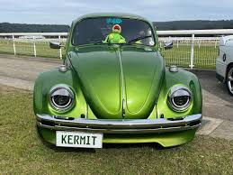 Image result for Delta Green 1970 Volkswagen