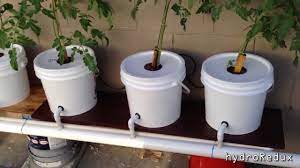 Pin By Richard On Gardening Hydroponics Diy Hydroponic Farming Hydroponics System