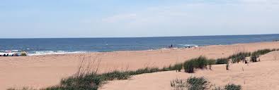 Are you about to make an international long distance phone call to virginia beach, virginia, united states? The 15 Best Things To Do In Virginia Beach 2021 With Photos Tripadvisor