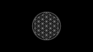 truth one flower of life sacred