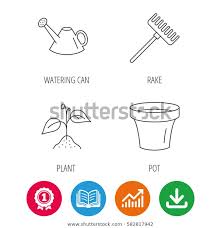Sprout Plant Watering Can Pot Icons Stock Vector Royalty