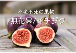 不老不死の果物 イチジク 薬食同源 西宮市にある鍼灸院 はりきゅう和み座のギャラリーをご覧ください