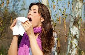 Allergic Rhinitis Hay Fever Lack