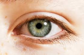 We already know how much emotion the eyes can show, but it turns out that they also play a role in our personalities. Can Your Eyes Change Color Wsj