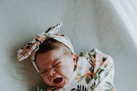 Elyse South Photography