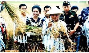 We did not find results for: Sukses Mencerdaskan Petani Ri Inilah Acara Jadul Di Era Soeharto Center B Diorama Penyuluhan Dan Kedaulatan Pangan B Center