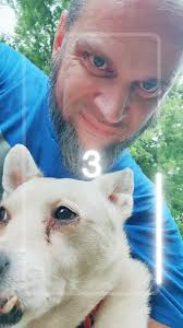 Dragon Vs Wolfpack Vs Geraldine