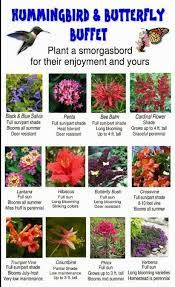 Native plant and pollinator gardening guide. Pin By Cyndie Swauger On Garden Plants Butterfly Garden Design Hummingbird Garden