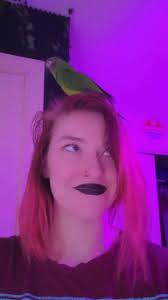 if anyone this summer needs a babysitter, house sitter, or pet sitter i'd  love to help! i am 17 years old with 3 years of experience, am very  affordable, and I am