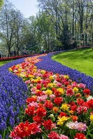 Keukenhof Gardens Netherlands Holland Flowers Beautiful Gardens Azaleas Garden