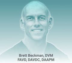 Veterinary Dental Practitioners Program