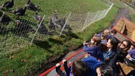 Harvest Days & Corn Maze