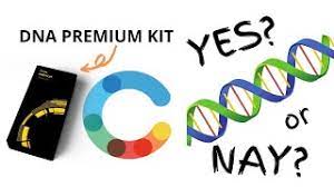 Dna testing is a group of techniques that provide information about genetic makeup. Circle Dna Review Dna Test Kit Online Malaysia Youtube