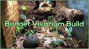 Paludarium Bygge Tips Youtube